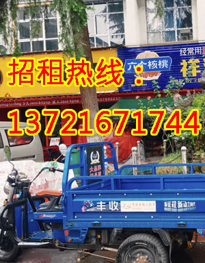 木棉路1